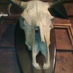 Corridas culturelles