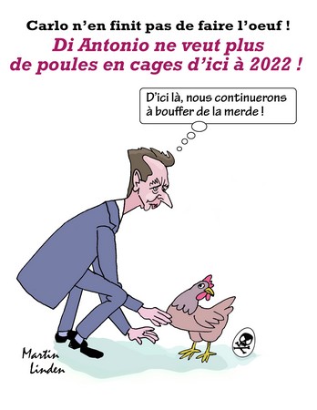 Di Antonio et les poules