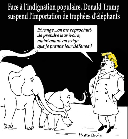 Trump et les éléphants